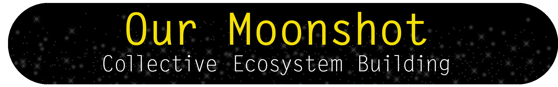 moonshot moonshot